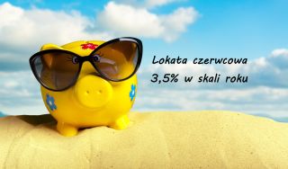 świnka skarbonka w okularach przeciwsłonecznych na plaży