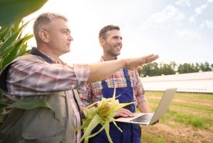 dwaj mężczyźni rozmawiają przy polu kukurydzy