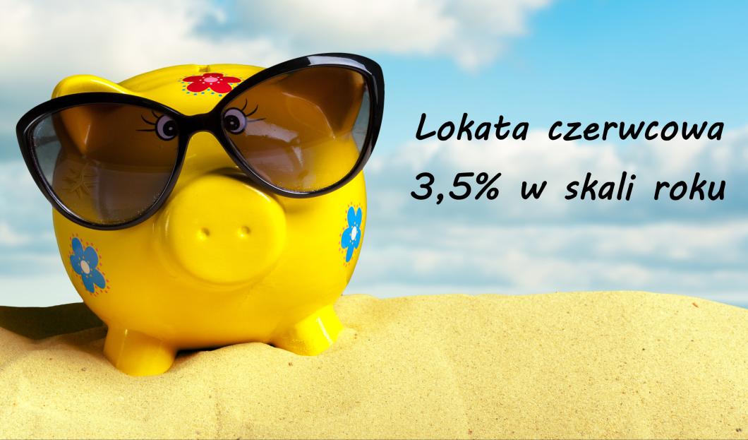 świnka skarbonka w okularach przeciwsłonecznych na plaży